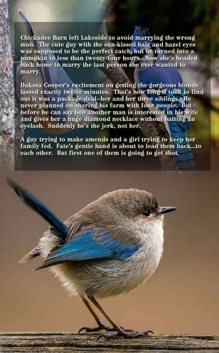 Marriage Lottery 1 Bird Bride by Caty Callahan, Wholesome romances for everyone | MarriageLottery.com