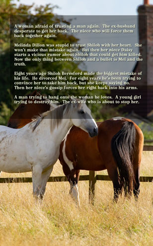 Marriage Lottery #11 My Ex-Wife by Caty Callahan | MarriageLottery.com