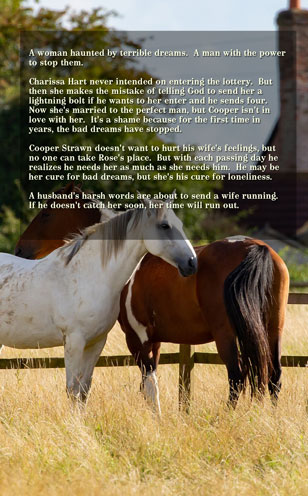 Marriage Lottery #13 Dreamcatcher by Caty Callahan | MarriageLottery.com