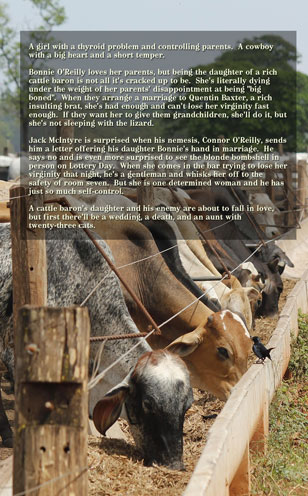 Marriage Lottery #18 Big Boned by Caty Callahan | MarriageLottery.com