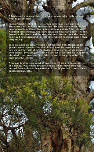 Marriage Lottery 6 Half a Dozen by Caty Callahan, Wholesome romances for everyone | MarriageLottery.com