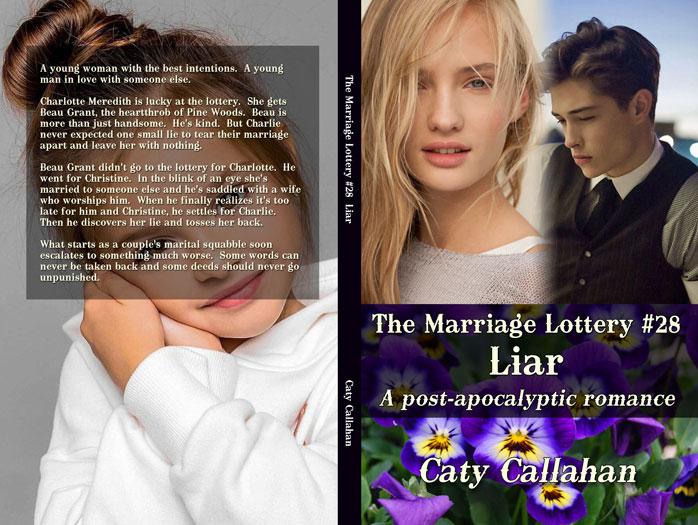 Marriage Lottery 28 Liar by Caty Callahan | Sweet romances for couples