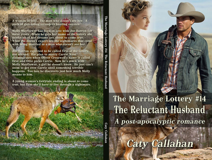 Marriage Lottery 14 The Reluctant Husband by Caty Callahan | Sweet Christian romances for couples